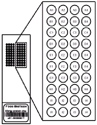 Imagen de un microarray