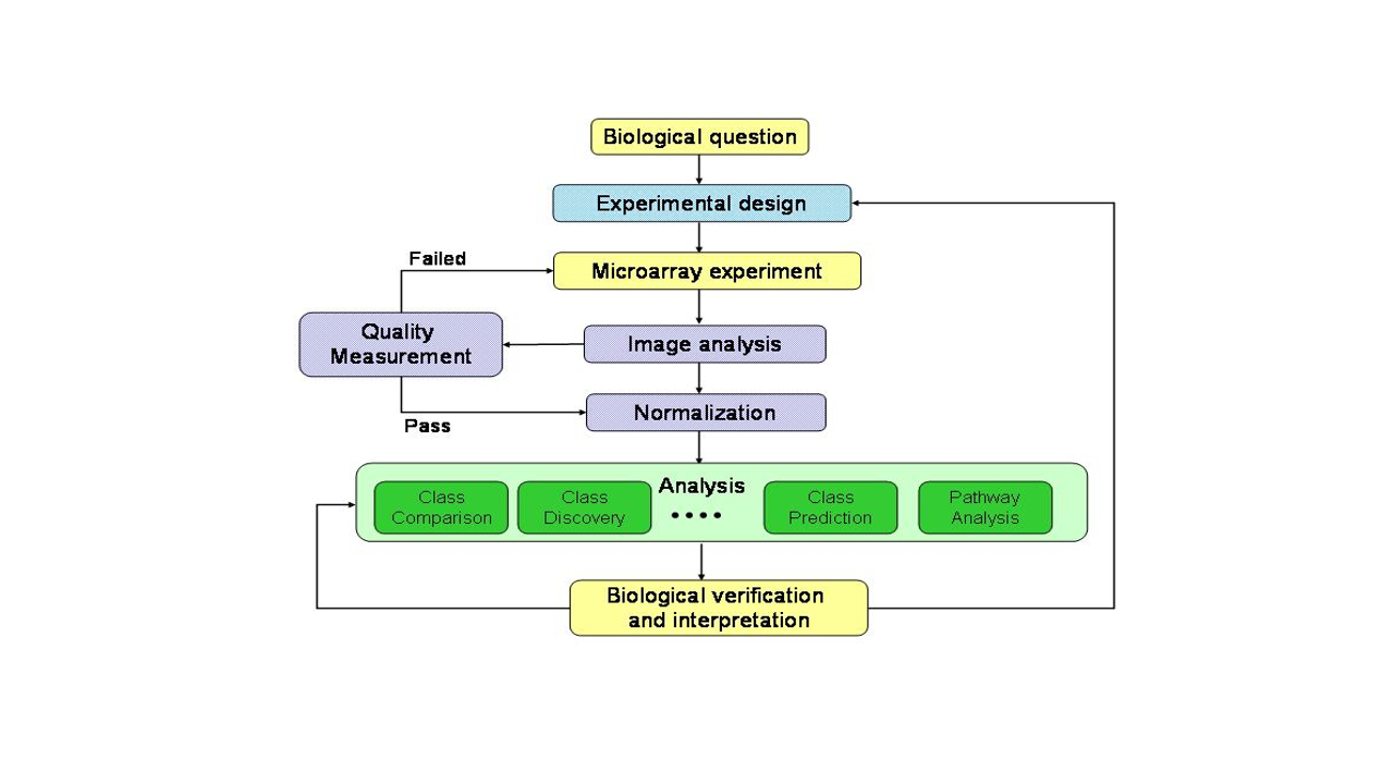 Proceso de análisis de microarrays