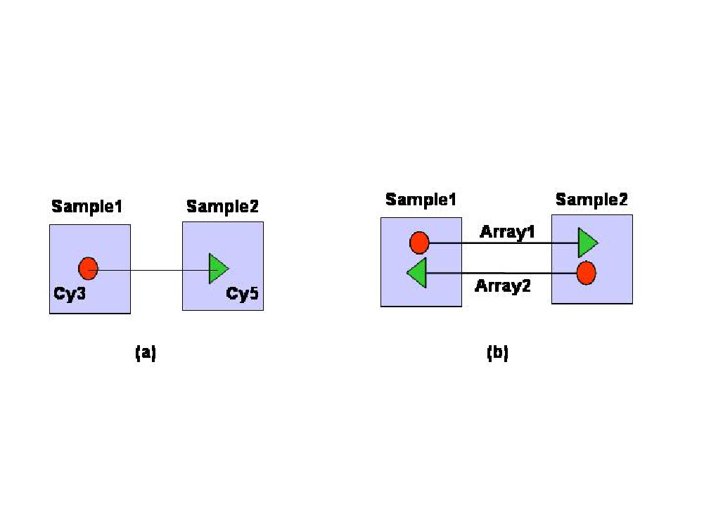 Representación simplificada de dos diseños