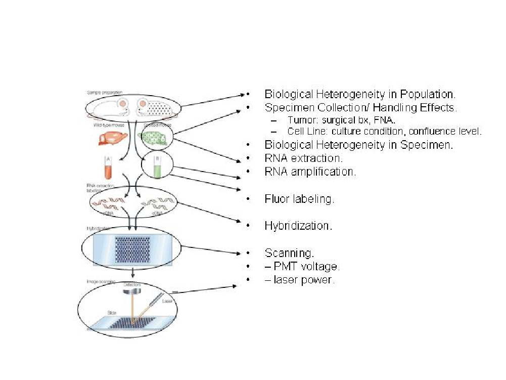 Proceso de análisis de microarrays