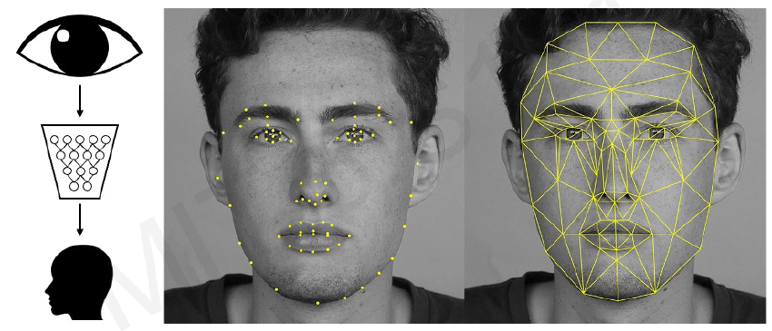 Convolutional Neural Networks